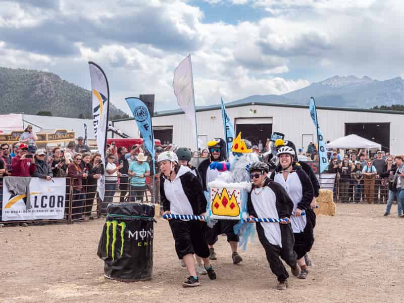 Racers dressed as penguins carry a crowned coffin down the course past cheering spectators.