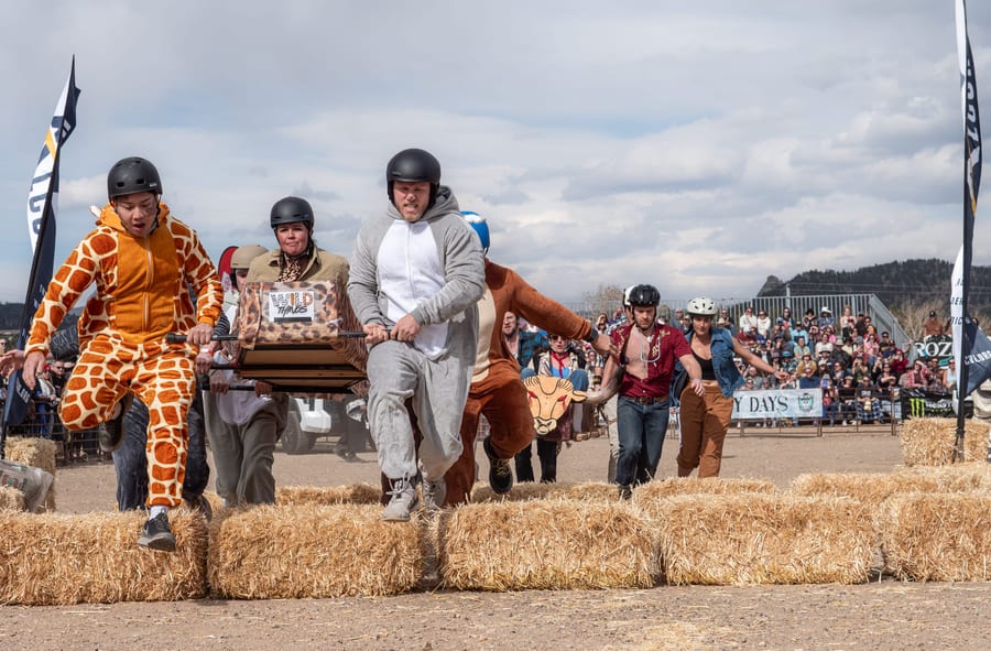 A team in giraffe, bunny and bear onesies leaps a row of hay bales with its coffin.