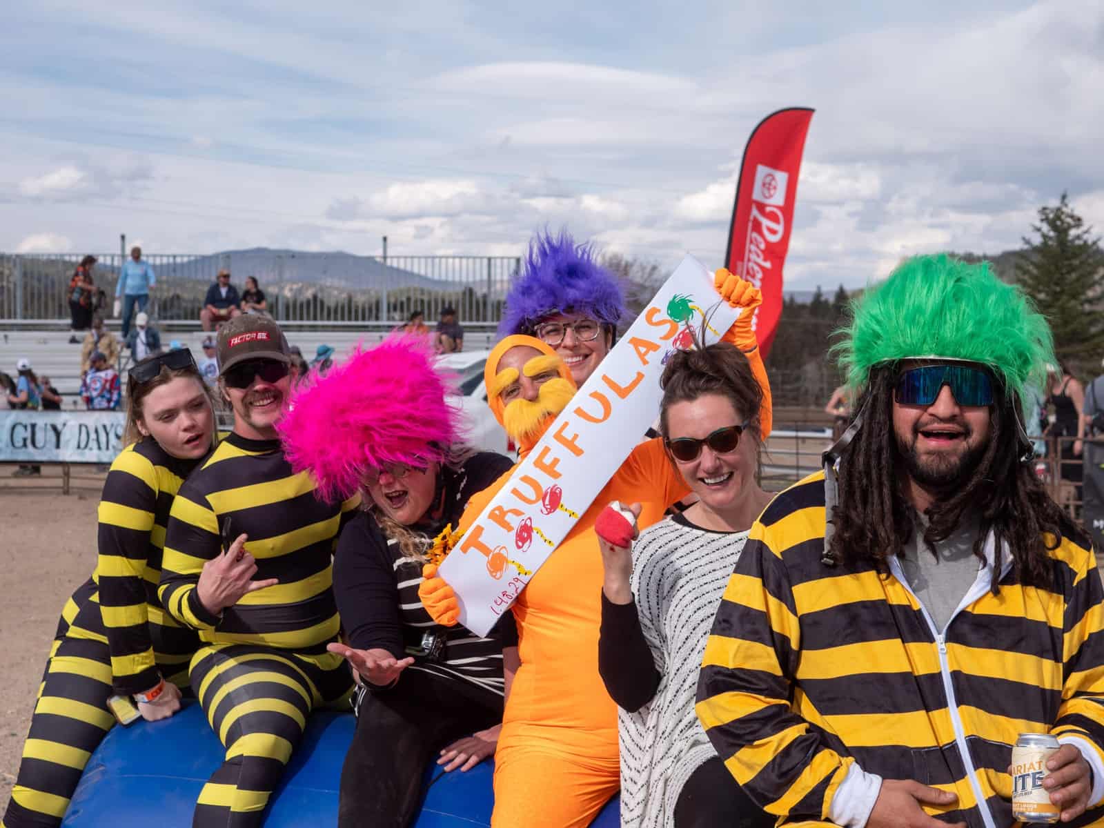 A team in bright Truffula-tree wigs and bee-striped suits laughs on a barrier holding a hand-painted sign.